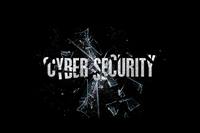 cyber-security-1805246_640